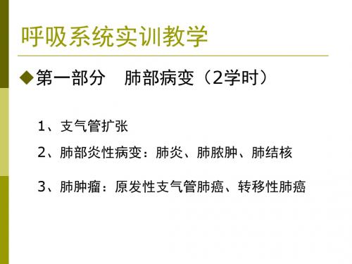 呼吸系统实训教学