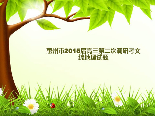 惠州市2015届高三第二次调研考文综地理试题讲评