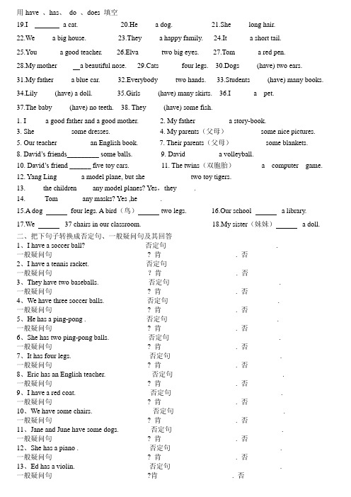 have--has-专项练习题