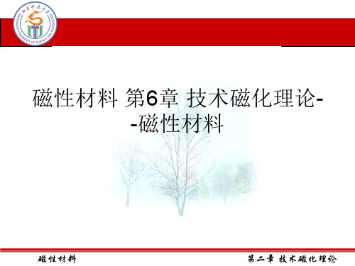 磁性材料 第6章 技术磁化理论--磁性材料