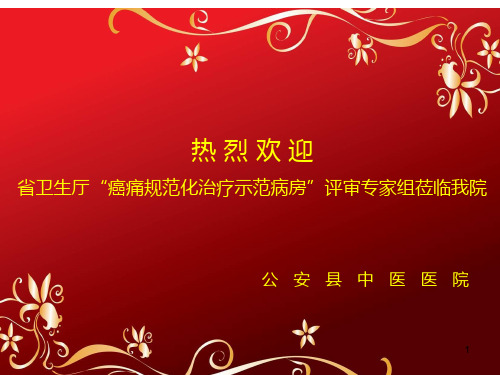 “癌痛规范化治疗示范病房”创建工作汇报PPT参考幻灯片