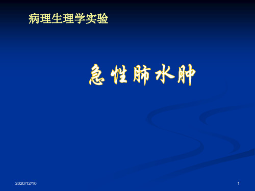 实验性肺水肿PPT教学课件