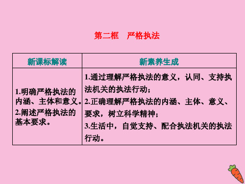 2020学年新教材高中政治 第三单元 全面依法治国 第九课 全面依法治国的基本要求 第二框 严格执法