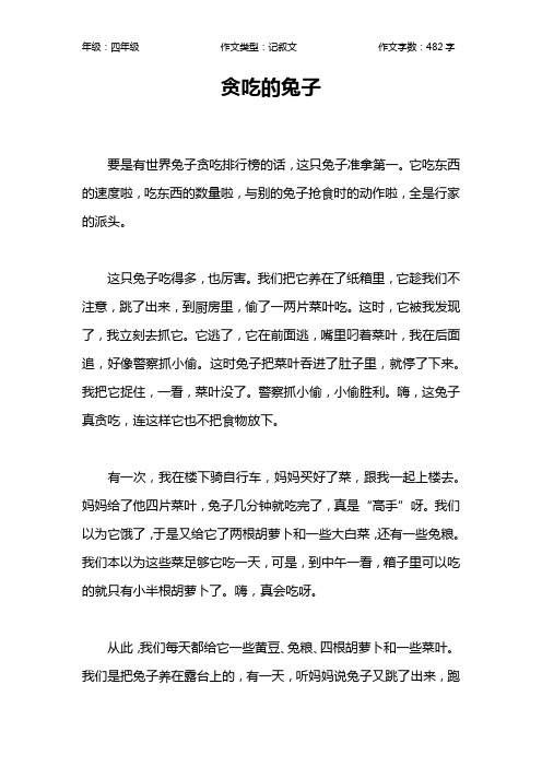 贪吃的兔子作文【小学四年级500字】