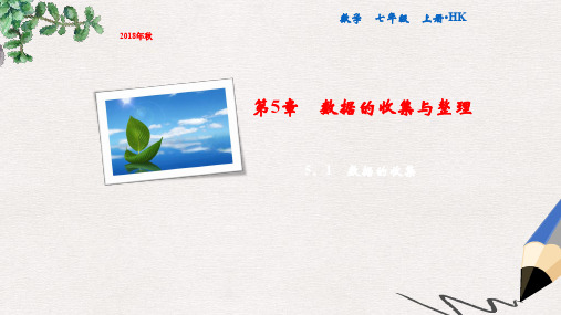 七年级数学上册 第5章 数据的收集与整理 5.1 数据的收集课件 (新版)沪科版