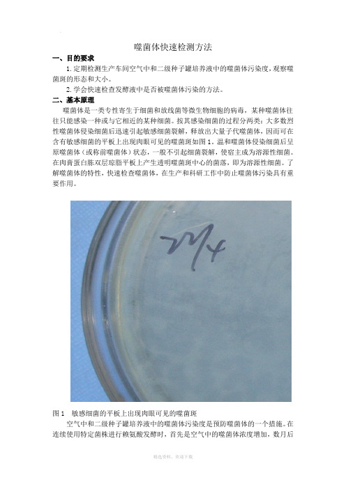 噬菌体的快速检测与防治