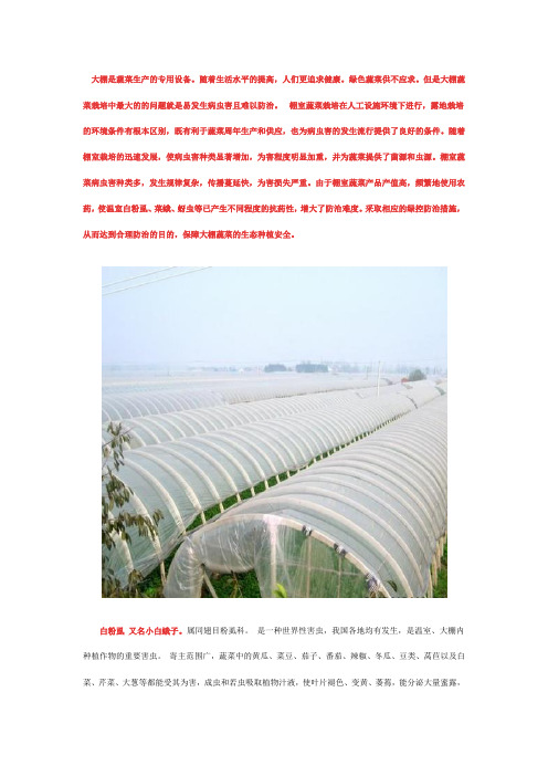 大棚害虫白粉虱的防治方法