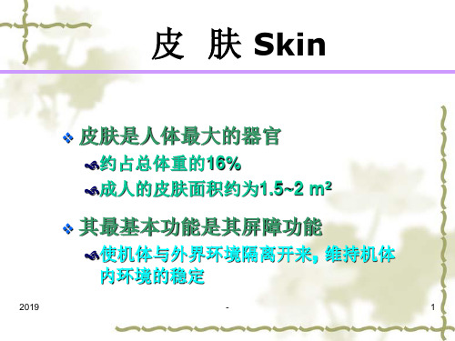 皮肤性病学复习ppt课件