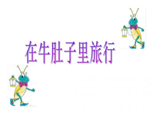 三年级语文下册 第6单元 29《在牛肚子里旅行》课件1 沪教版