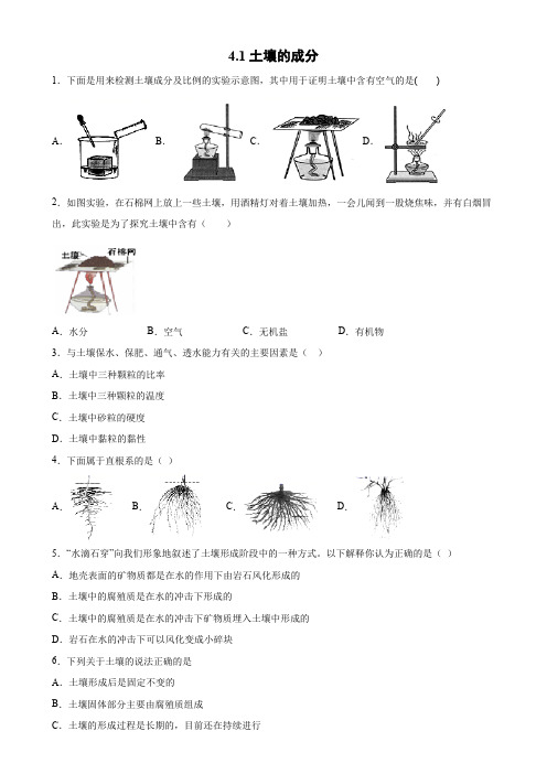 土壤的成分(同步培优练习八年级科学下册 