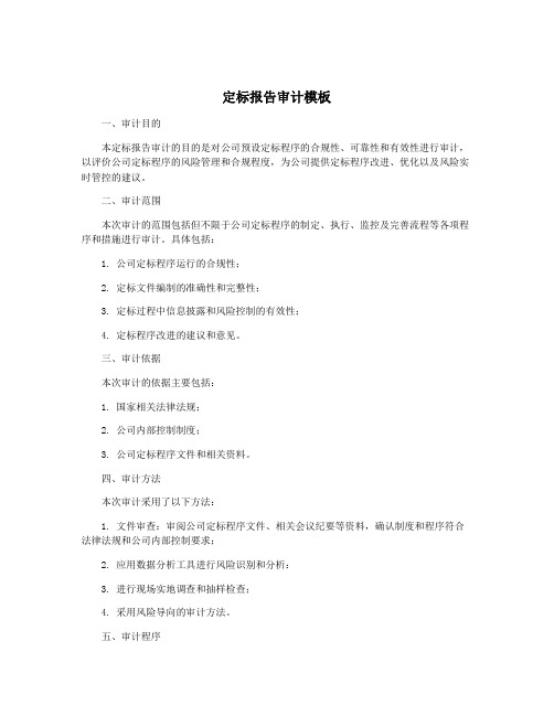 定标报告审计模板
