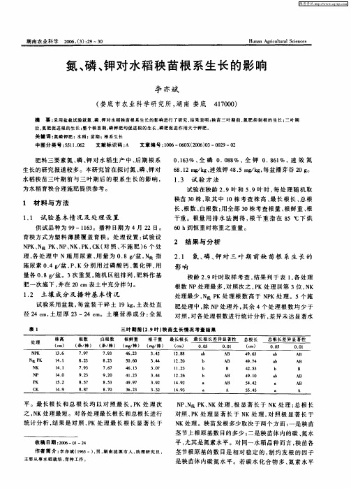 氮、磷、钾对水稻秧苗根系生长的影响
