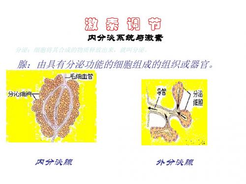 【生物课件】激素调节课件