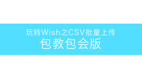 玩转WISH中级教程之CSV批量上传包教包会版