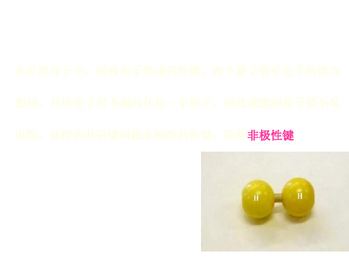 极性分子和非极性分子(PPT)4-2