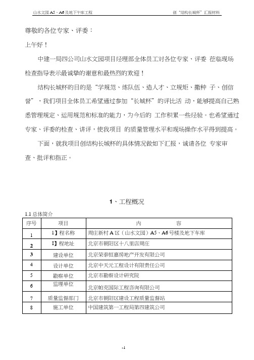 第一次迎检演示文稿