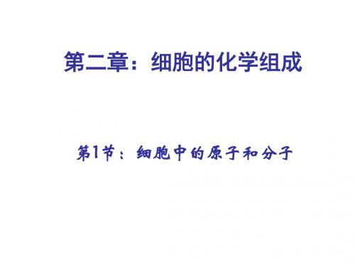 细胞中的原子和分子 PPT课件6 苏教版