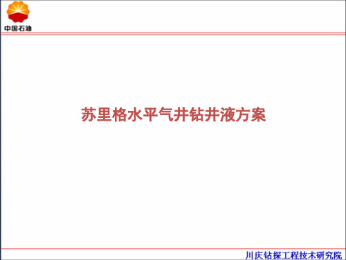 [实用参考]苏里格水平气井钻井液方案