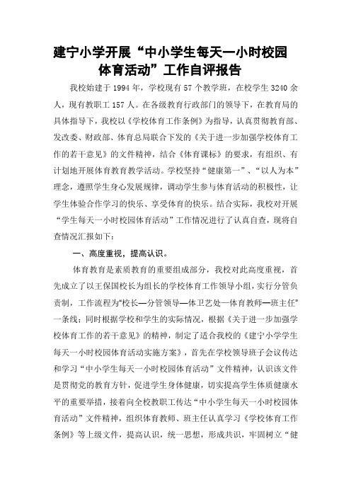 建宁小学开展学生每天一小时校园体育活动工作自查报告