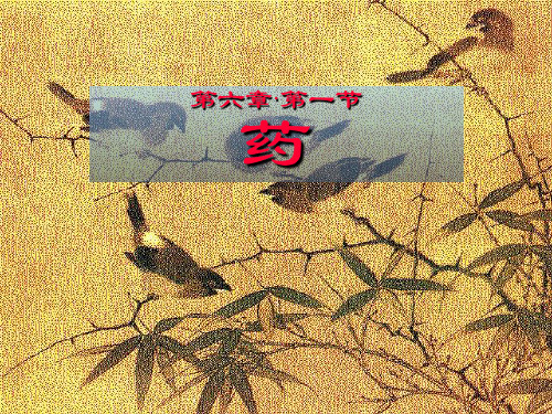 11解表药方总结1精品PPT课件
