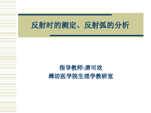 反射时的测定、反射弧的分析(精)