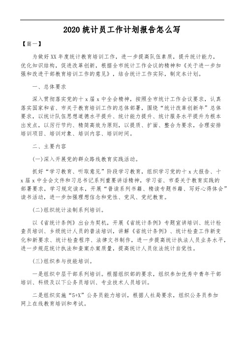 2020统计员工作计划报告怎么写