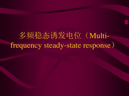 17  多频稳态诱发电位(Muti