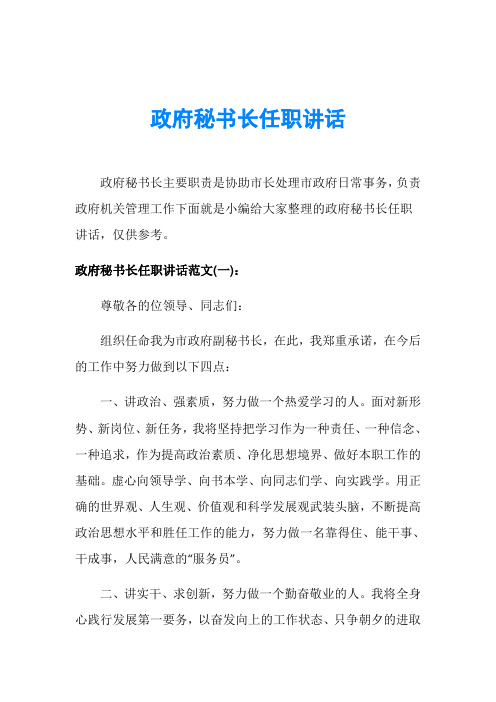 政府秘书长任职讲话