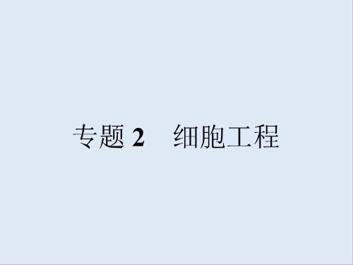 2019-2020学年生物高中人教版选修3课件：专题2 2.1 2.1.1 植物细胞工程的基本技术 