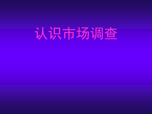 推荐-市场调查没有调查就没有发言权 精品
