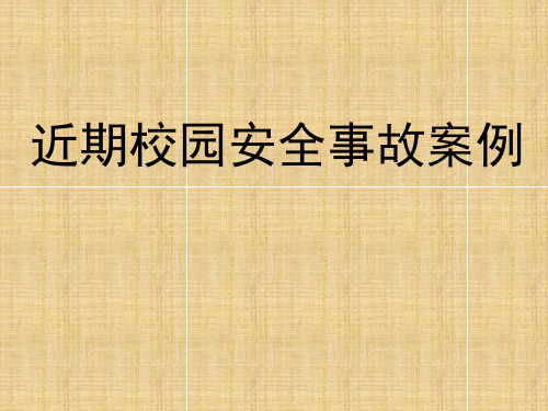 校园安全事故案例