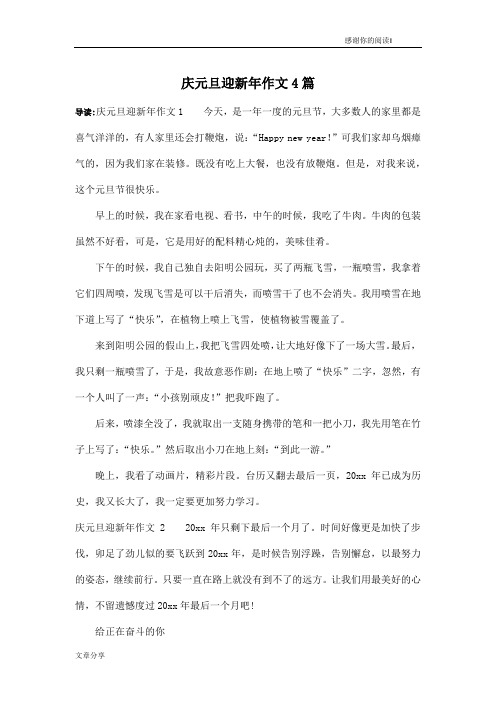 庆元旦迎新年作文4篇
