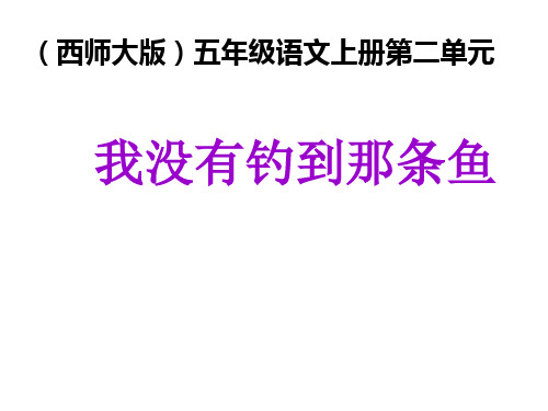 五年级上册语文教学课件-6.我没有钓到那条鱼 l 西师大版 (共16张PPT)