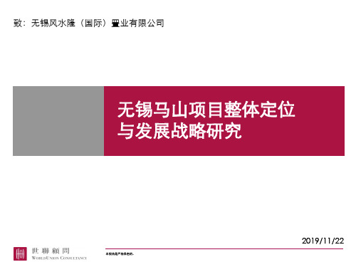20190810无锡无锡马山项目整体定位与发展战略研究