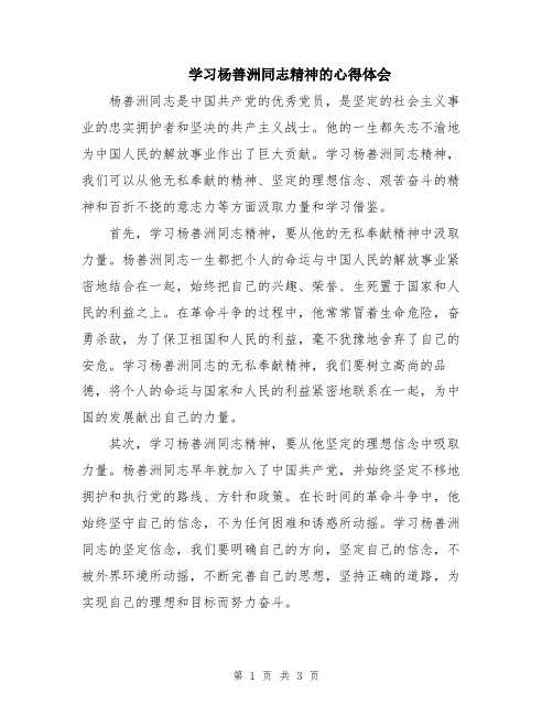 学习杨善洲同志精神的心得体会