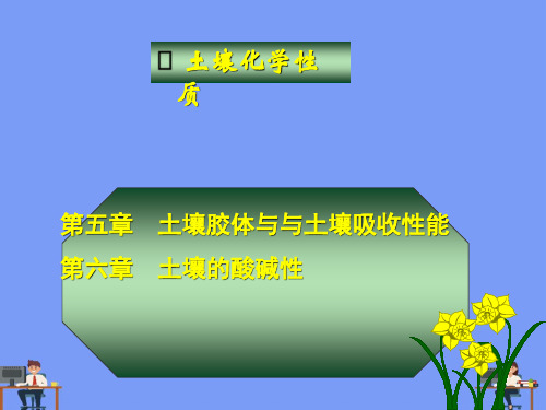 土壤胶体完美版PPT