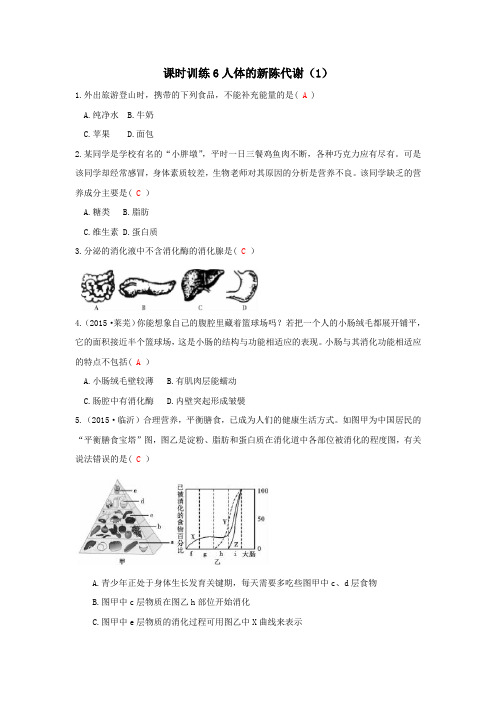 浙教版科学2015年中考复习《中考拐点》课时训练6 人体的新陈代谢(一)