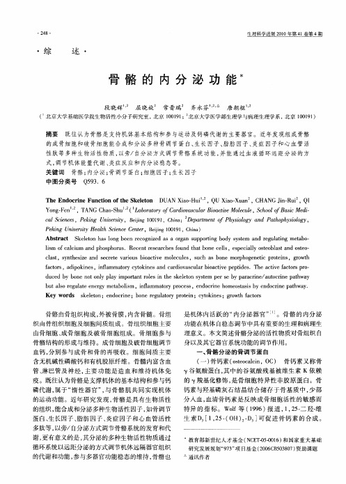 骨骼的内分泌功能