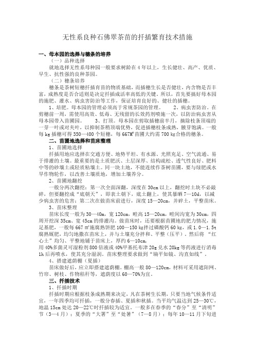 无性系良种茶苗的扦插繁育技术