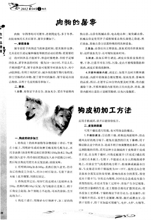 狗皮初加工方法