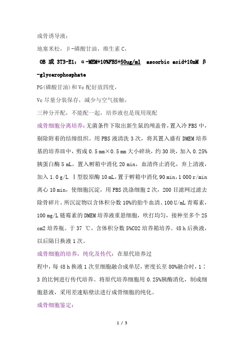 成骨细胞培养