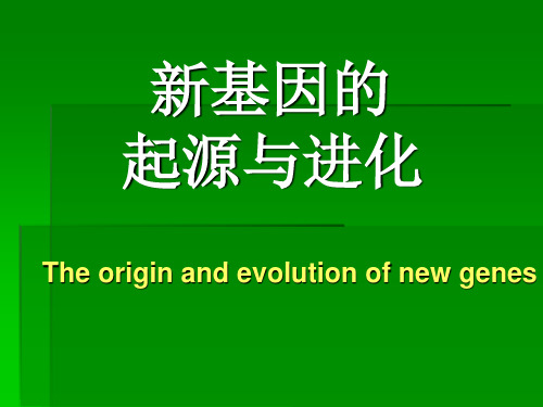 新基因起源与进化