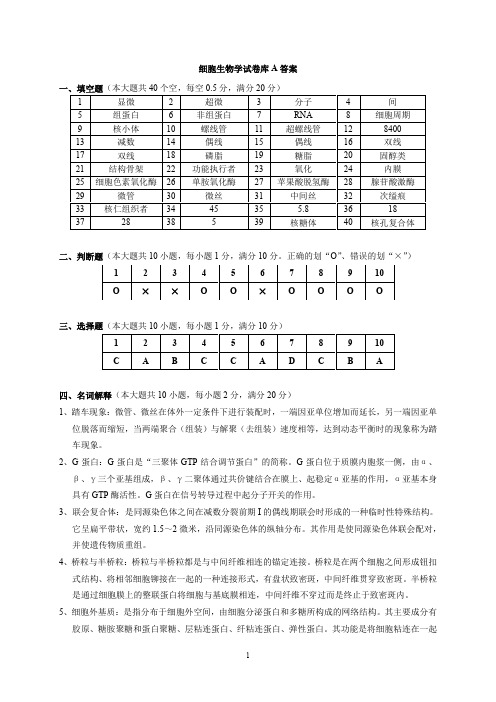 细胞生物学模拟试题答案