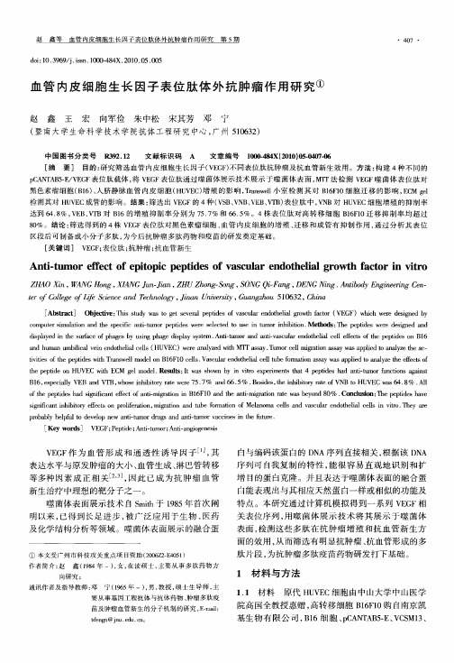 血管内皮细胞生长因子表位肽体外抗肿瘤作用研究