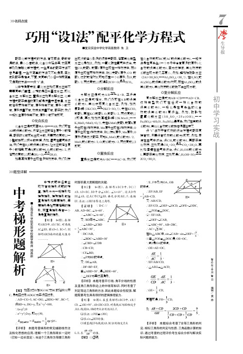 巧用“设1法”配平化学方程式