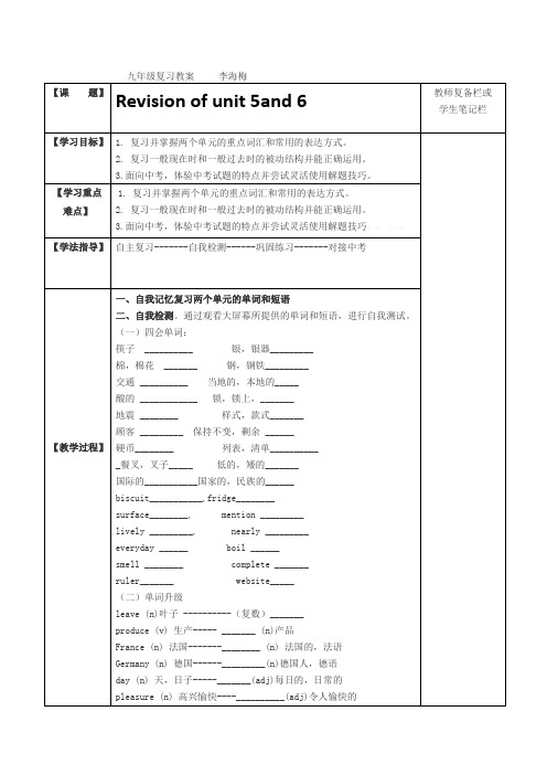 九年级5-6 单元复习教案