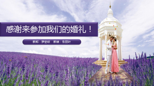 薰衣草背景浪漫婚礼PPT模板2套