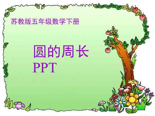 苏教版五年级圆的周长PPT课件