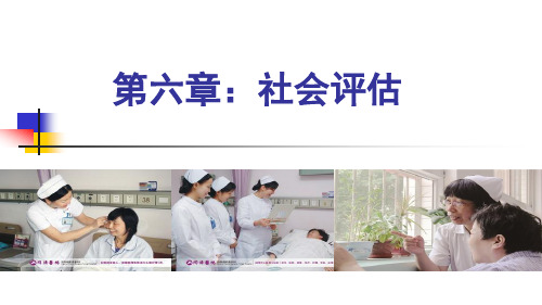 6.社会评估