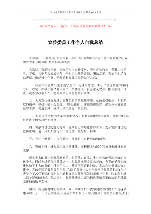 2019年宣传委员工作个人自我总结-精选word文档 (2页)